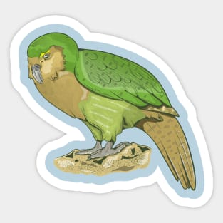 Kakapo Sticker